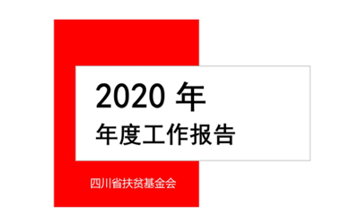 2020年四川省扶贫基金会工作报告