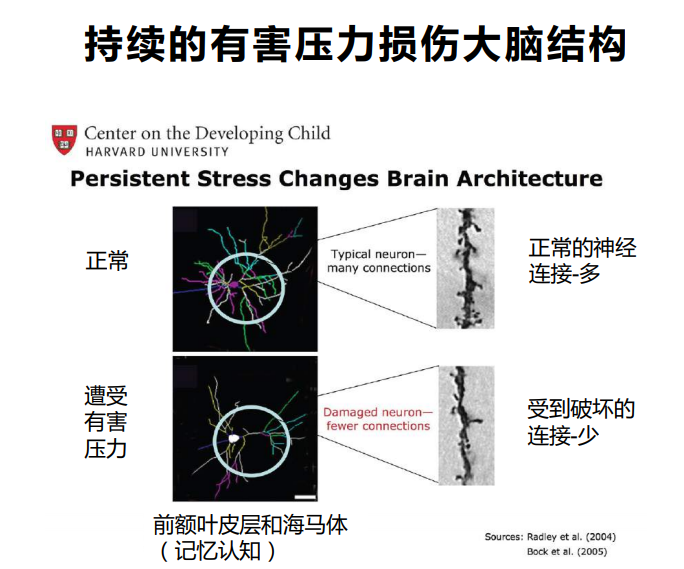 毒性压力.png